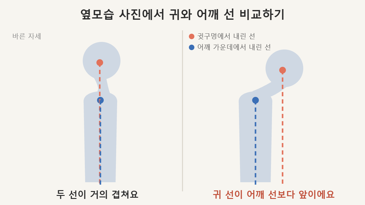 옆모습 그림 두 개. 왼쪽은 귀와 어깨에서 내린 선이 거의 겹치고, 오른쪽은 귀에서 내린 선이 어깨 선보다 앞에 있어요